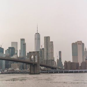 Meet your Posher, Cole